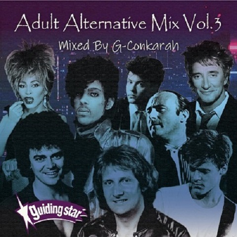 ADULTALTERNATIVEMIXVOL3_GUIDINGSTARガイディングスター