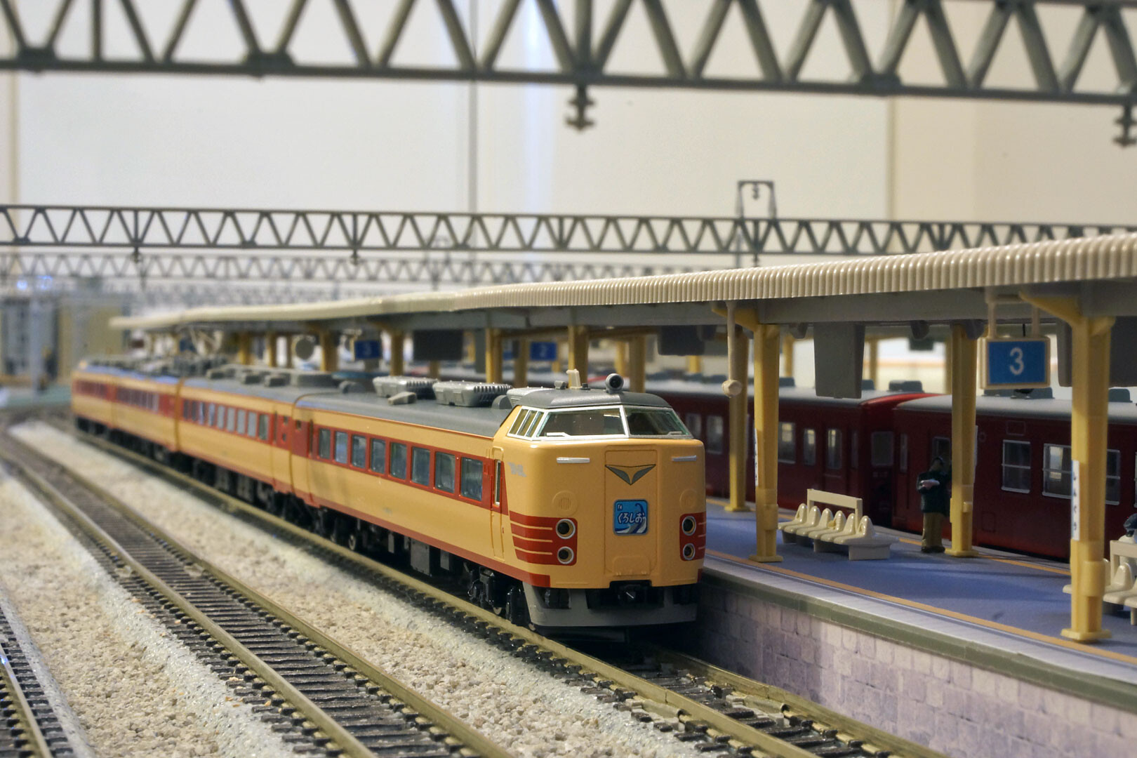 TOMIX 98384 485系「くろしお」 : どみやんの写真帳blog派出