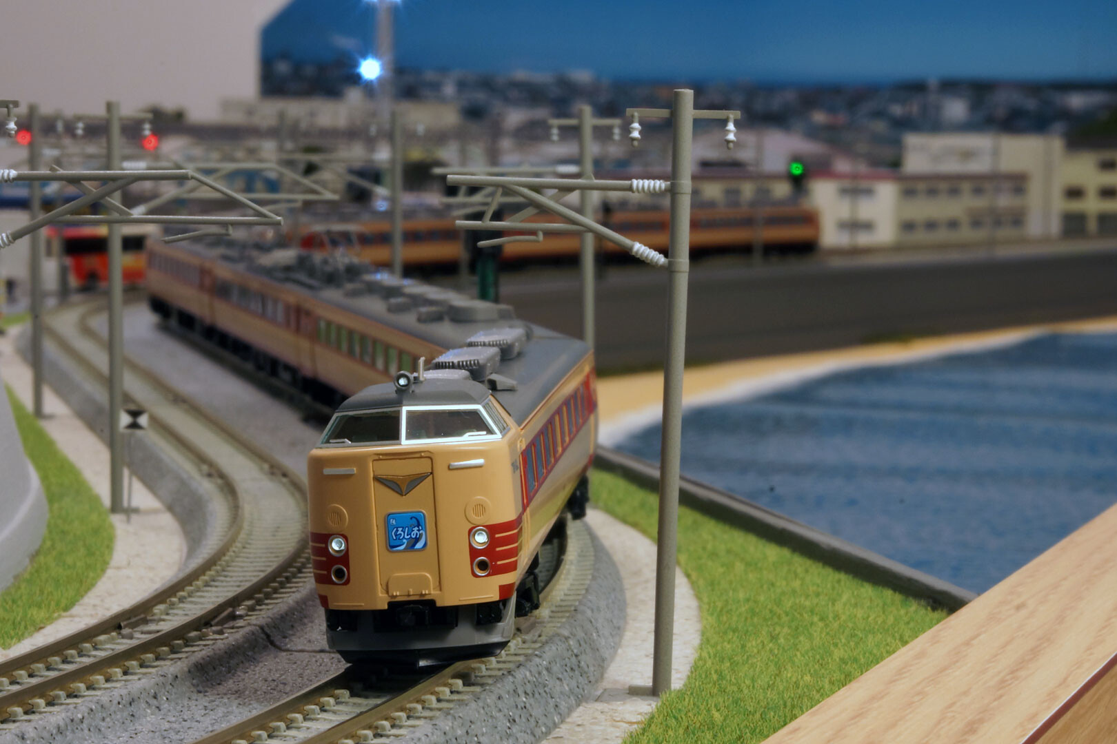 TOMIX 98384 485系「くろしお」 : どみやんの写真帳blog派出