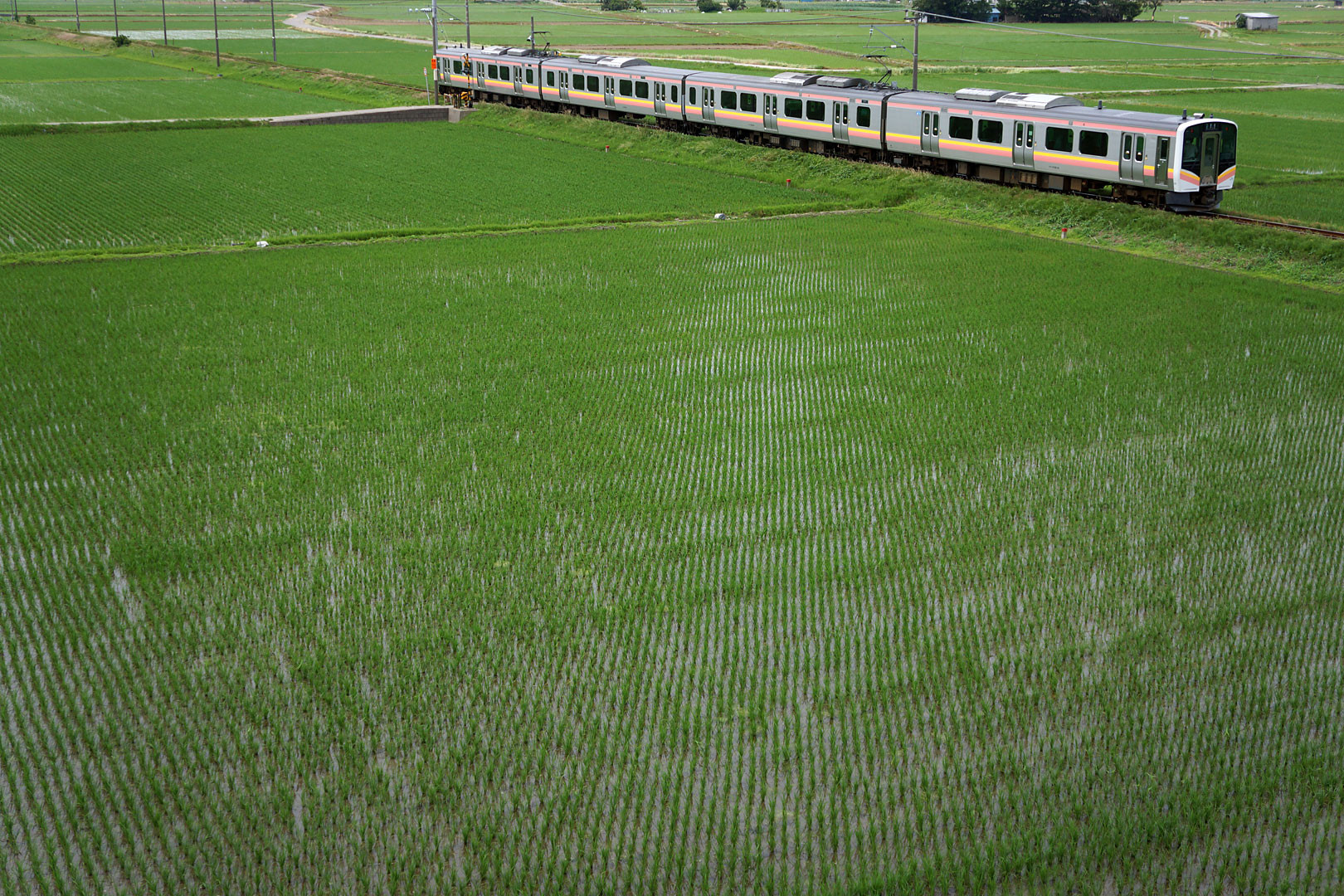 18 6 10 越後線 越後曽根 越後赤塚 どみやんの写真帳blog派出