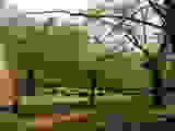 4213e794.JPG