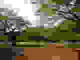 803e5abc.JPG