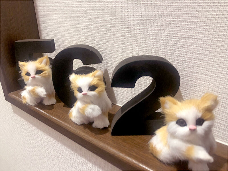 猫付きシェアハウス 562国立 しっぽ不動産 猫付きシェアハウス 562国立 しっぽ不動産