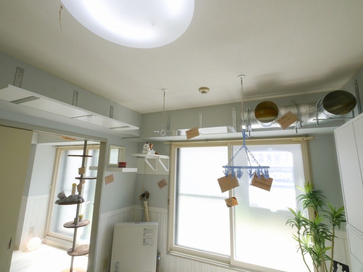09.OMResidenceN23 interior neko