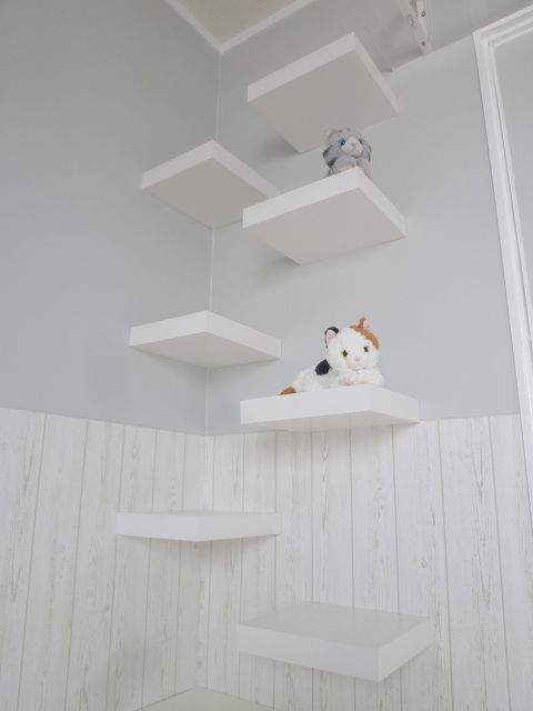07.ability interior neko