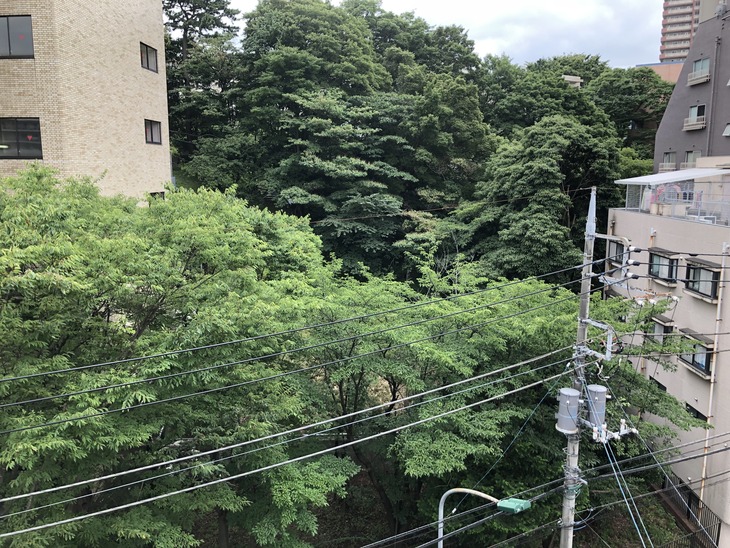 002_matsudo501