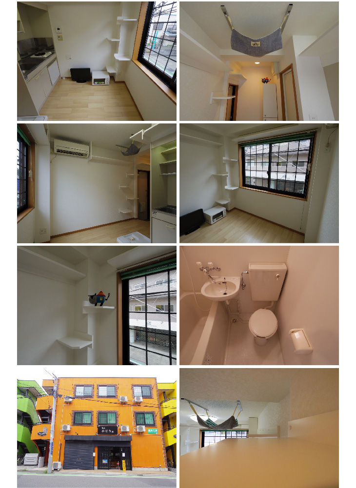 layout