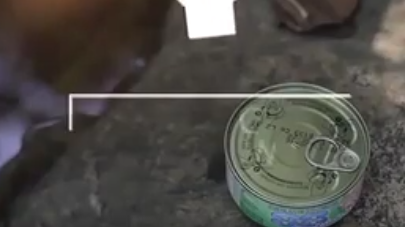 キャプチャ