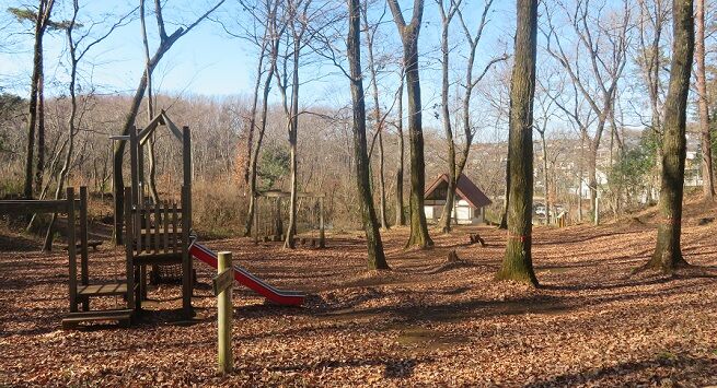 狭山公園 東大和公園 東大和狭山緑地 1 9 木 Tcmt Shinichiroのblog 狭山公園 東大和公園 東大和狭山緑地 1 9 木 Tcmt Shinichiroのblog
