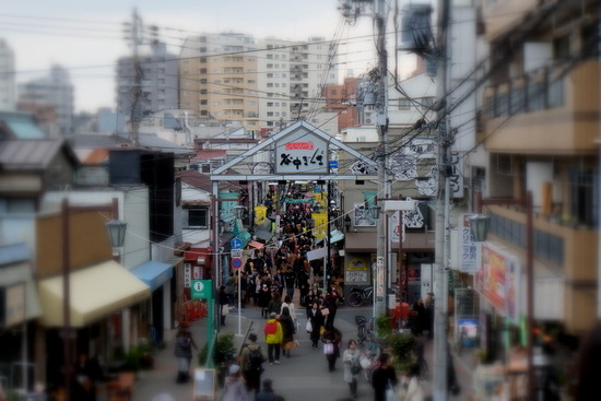1-DSCF1221
