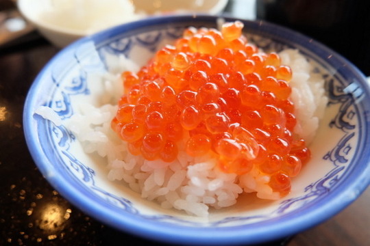 1-DSCF1979