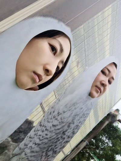 1081