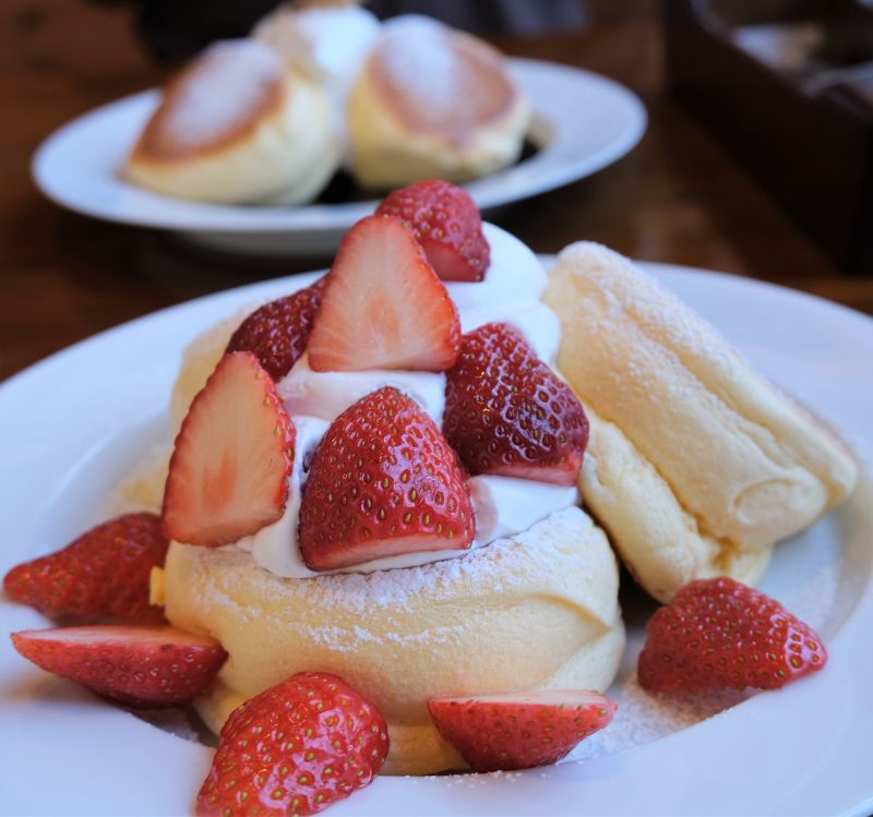 ドイツ製 ドイツ製　パンケーキ　ビスコース　1/8 パンケーキ ビスコース 1&frasl;8