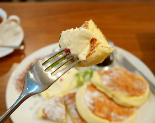 ヨーキーズブランチ②