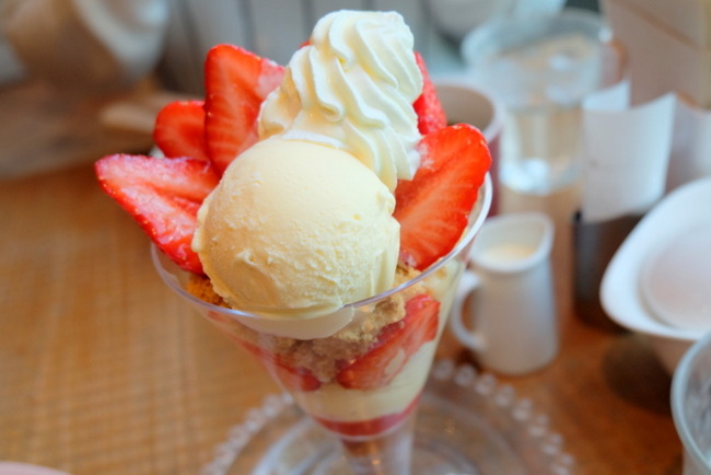 1-DSCF8546