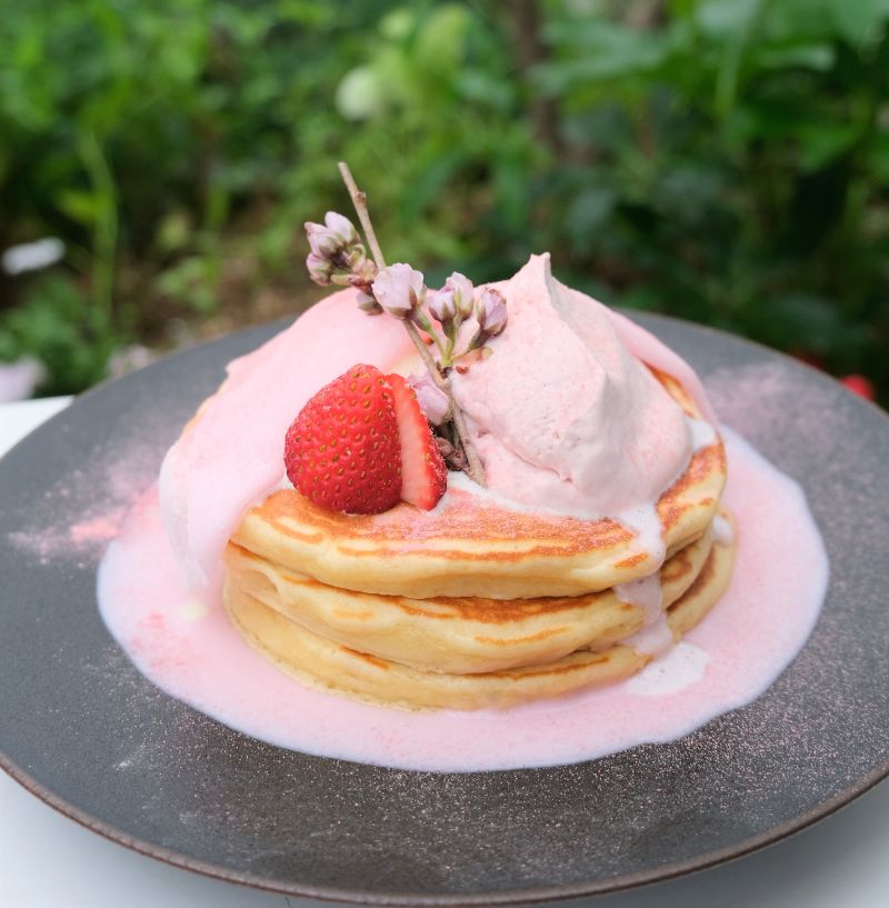 東京 表参道 Crisscross クリスクロス 桜パンケーキ パンケーキ部 Pancake Club Powered By ライブドアブログ 東京 表参道 Crisscross クリスクロス 桜パンケーキ パンケーキ部 Pancake Club Powered By ライブドアブログ
