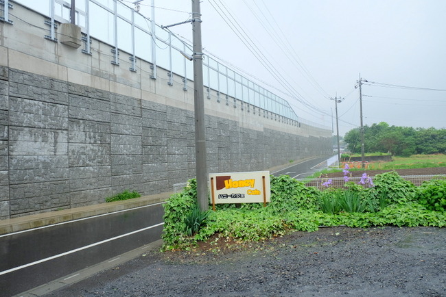 1-DSCF1100