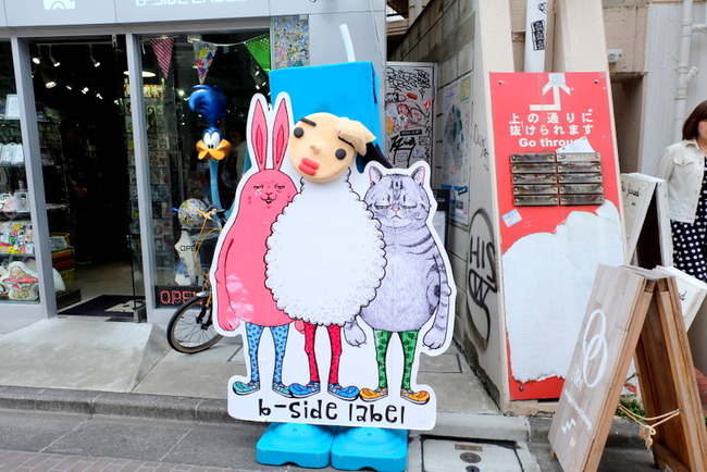 1-DSCF1702