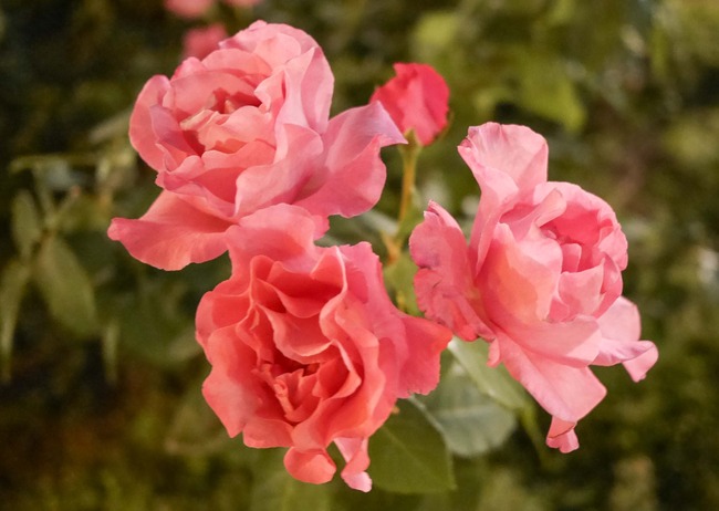 P2860094