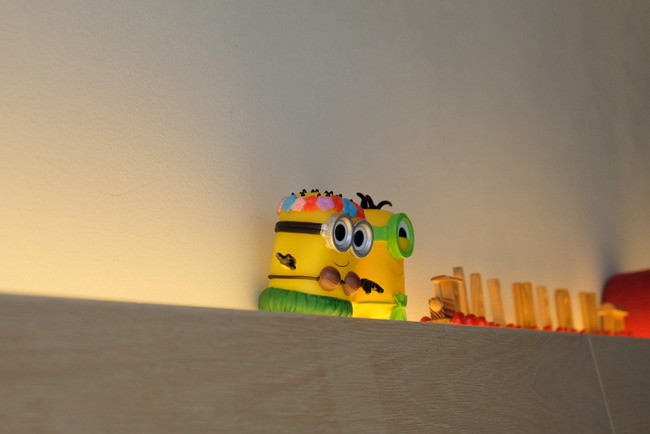 1-DSCF9419