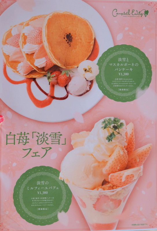 1-DSCF8509