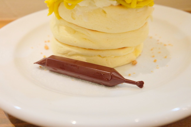 1-DSCF8579