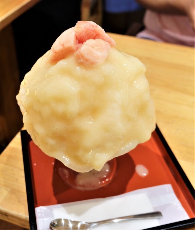 DSCF6647