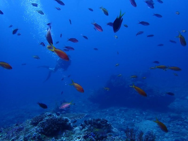 f45acb2c44515438b5dcea70a107187d