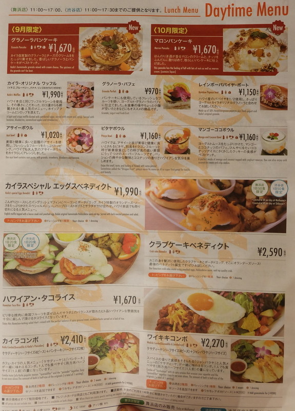 1-DSCF6991
