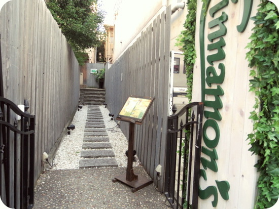 1-IMGP5316