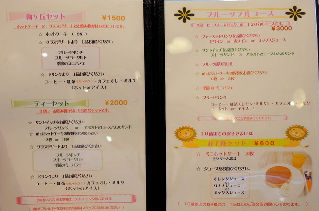 1-DSCF2910