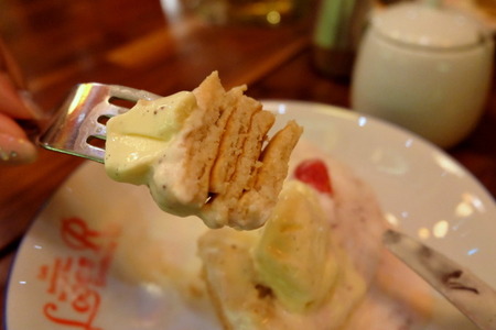 1-DSCF9025