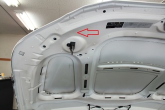 BMW5 hood