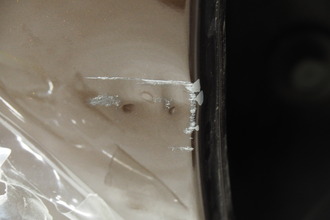 P1205007