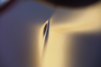 P3176886