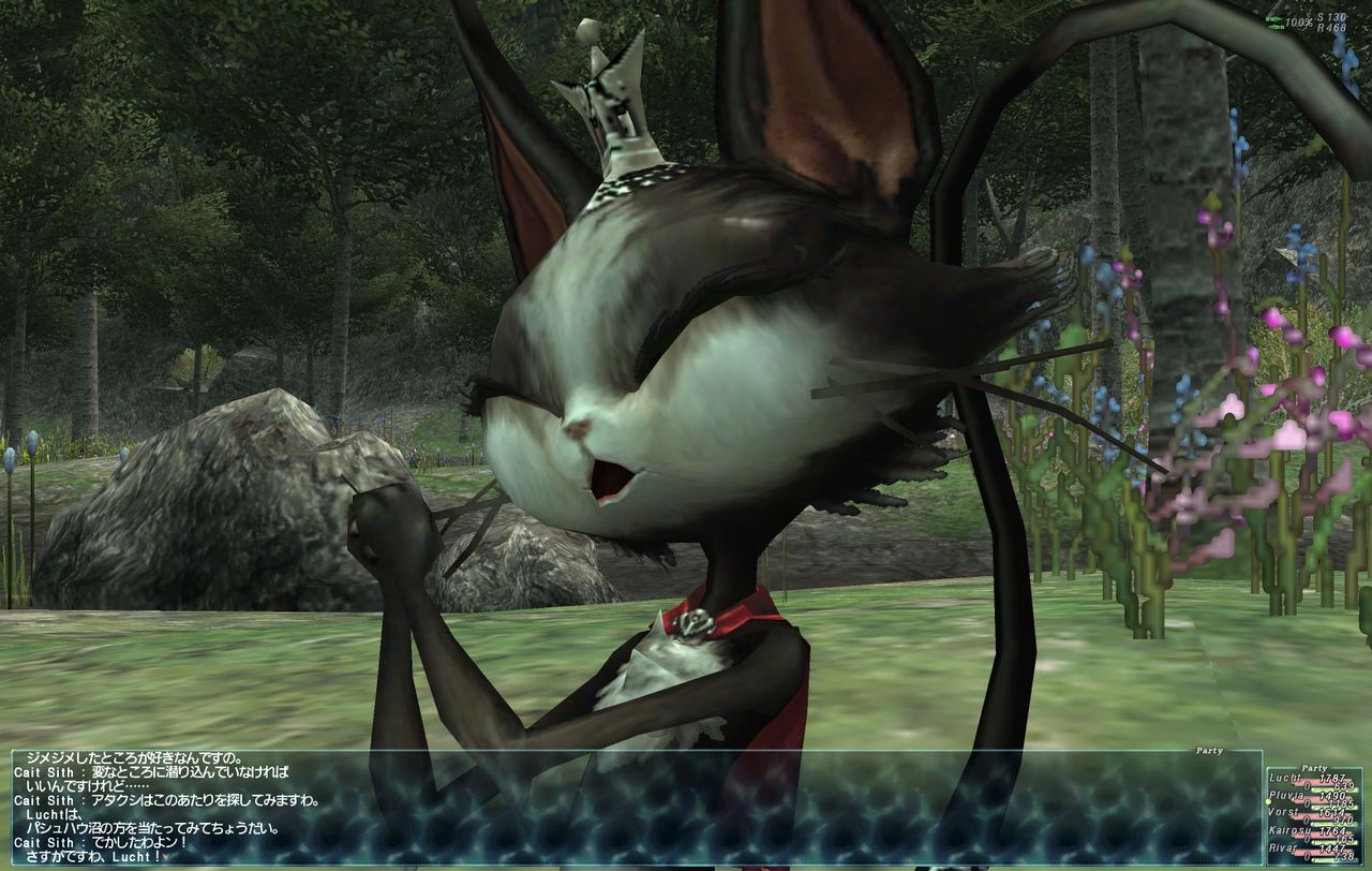 引き続きアルタナミッションのことをば ネコの足跡 Ff11にて 引き続きアルタナミッションのことをば ネコの足跡 Ff11にて