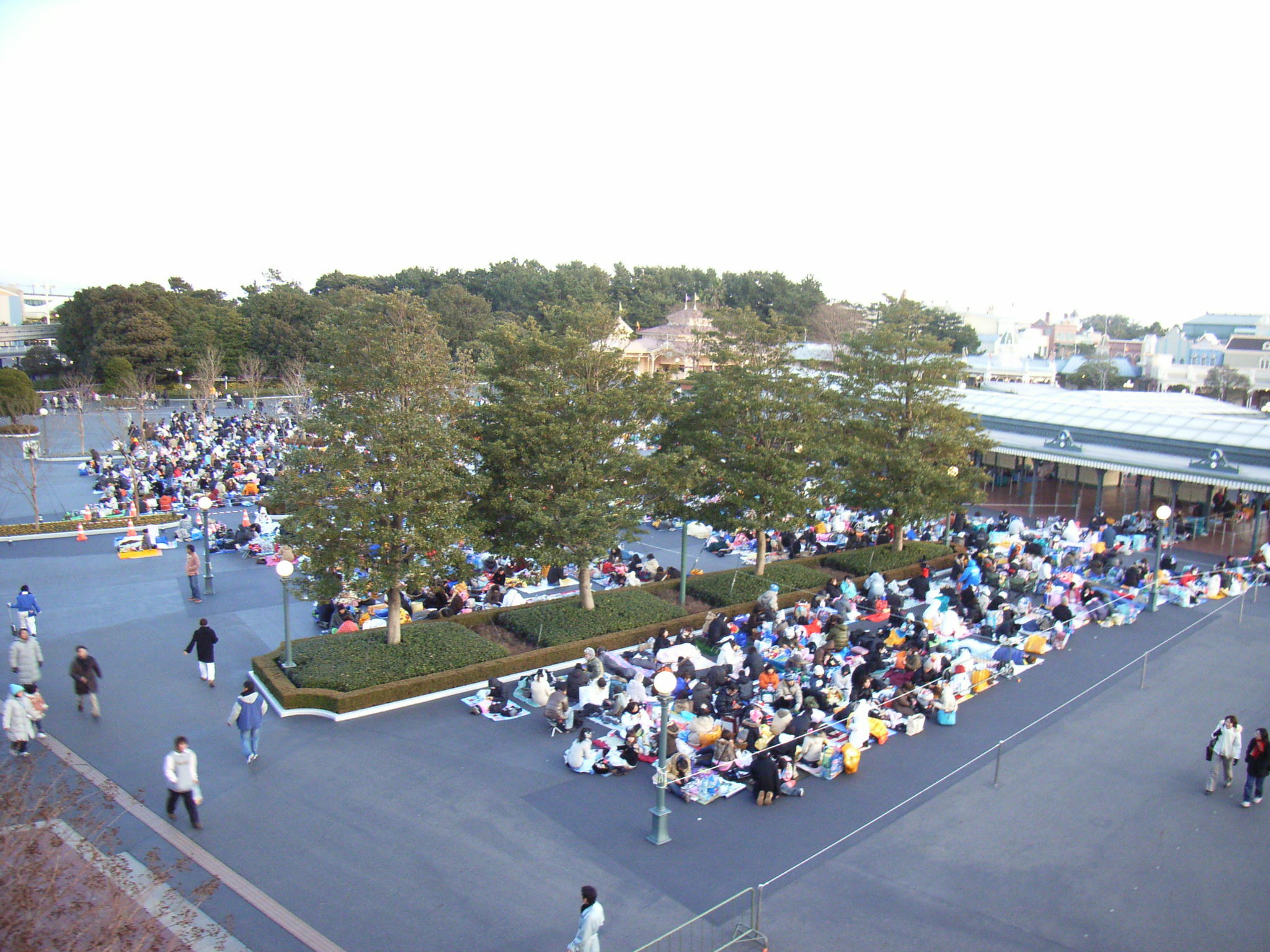 カウント待ち列 ディズニーランドの状況 ディズニーリゾート 秘情報 Tdr 秘情報アネックス