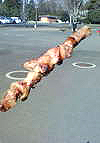 hamkushiyaki20070225_1