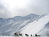 hakuba2_1