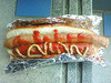butadog20090322_1