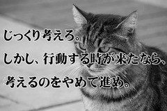 ナポレオン