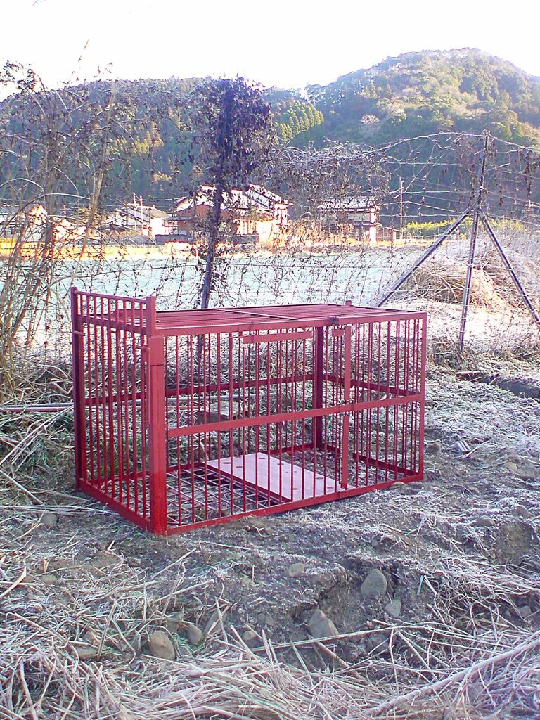毎日書かない作業日誌 : 🐗捕獲用の罠