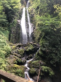 IMG_3329