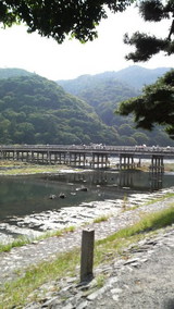 7a48d6d9.jpg