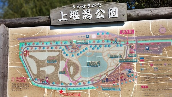 IMG_20241014_085208656_MF_PORTRAIT-001