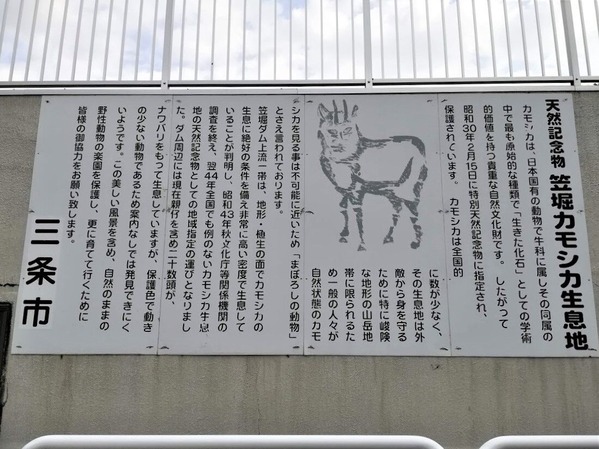 カモシカ　案内板