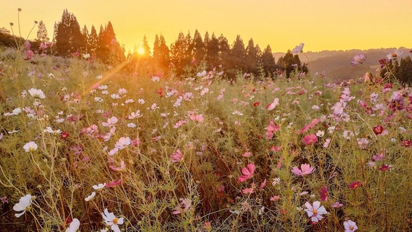 IMG_20241013_165345754_HDR-EDIT-EDIT-EDIT-EDIT-EDIT