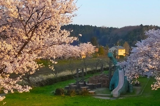 IMG20220412054520aaa (1)