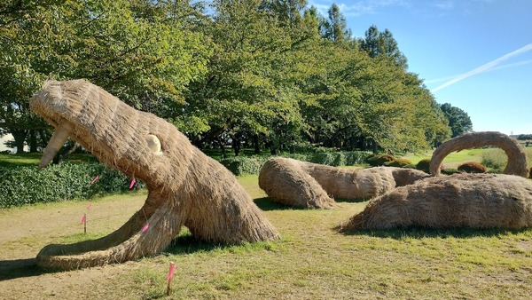 IMG_20241014_085729357_HDR