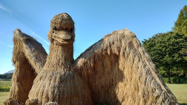 IMG_20241014_085951577_HDR